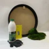 Round black frame with green moss tufts, adhesive bottle, yellow spreader, and gloves for DIY moss wall art.