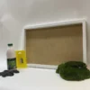 DIY moss craft kit with empty white frame, green moss patch, glue bottle, yellow comb tool, and gloves