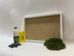 DIY Moss Wall Art Kit – Provence Moss - Image 5