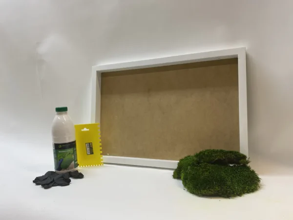 DIY Moss Wall Art Kit – Provence Moss - Image 5