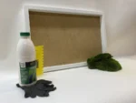 DIY Moss Wall Art Kit – Provence Moss - Image 4