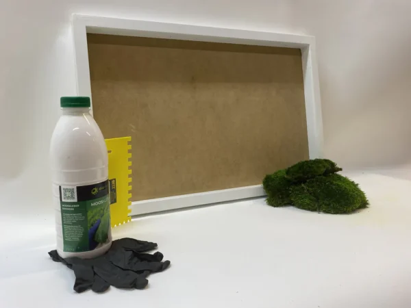 DIY Moss Wall Art Kit – Provence Moss - Image 4