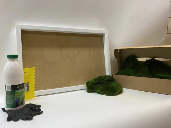 DIY Moss Wall Art Kit – Provence Moss - Image 2