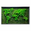 img_1296.jpg Framed moss world map wall art featuring textured continents crafted from preserved moss.