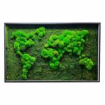 Moss World Map with Flat Moss and Cushion Moss