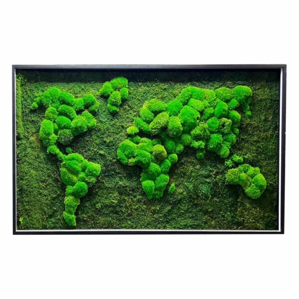 img_1296.jpg Framed moss world map wall art featuring textured continents crafted from preserved moss.