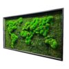 img_1297.jpg Rectangular moss world map in a black frame shown at an angle, with textured green bun and flat moss.