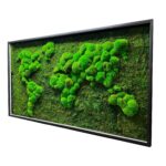 Moss World Map with Flat Moss and Cushion Moss - Image 2
