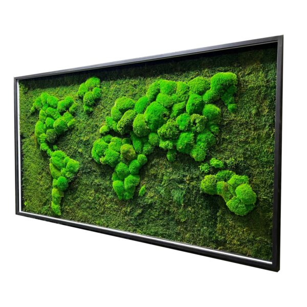 Moss World Map with Flat Moss and Cushion Moss - Image 2