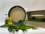 Round DIY Moss Art Kit – Plant World - Image 2