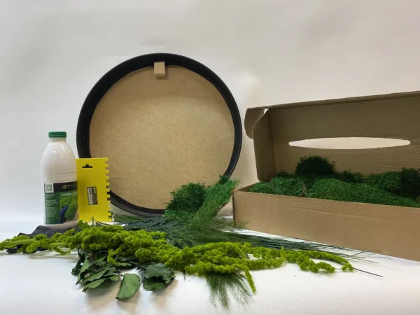 Round DIY Moss Art Kit – Plant World - Image 2