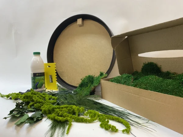 Round DIY Moss Art Kit – Plant World - Image 3
