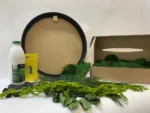 Round DIY Moss Art Kit – Plant World - Image 4