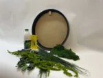 Round DIY Moss Art Kit – Plant World - Image 5