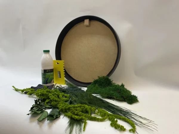 Round DIY Moss Art Kit – Plant World - Image 5