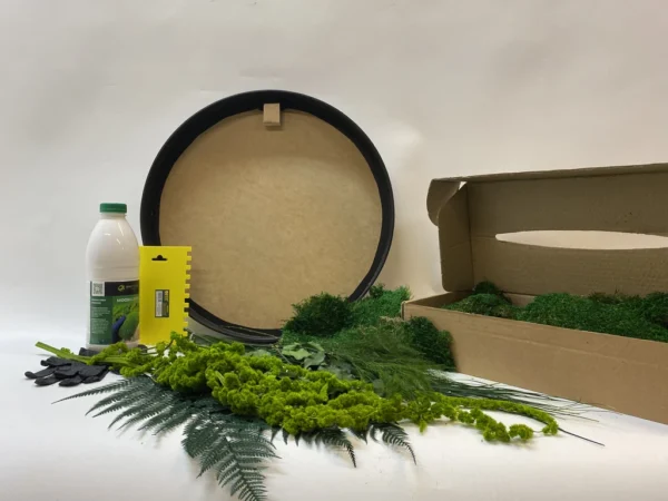 Round DIY Moss Art Kit – Plant World - Image 7