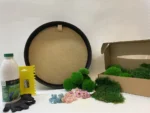 DIY Round Moss Wall Art Kit – Dried Flowers - Image 3