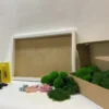 Cardboard box filled with green moss next to a white frame, glue bottle, spreader, gloves, and miniature dried flowers.
