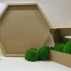 Close-up of DIY hexagon moss wall art kit with wooden frame, green preserved ball moss, adhesive, and crafting tools.