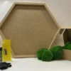 DIY moss kit with wooden hexagon frame, bottle of glue, applicator tool, black gloves, and green ball moss in a box.