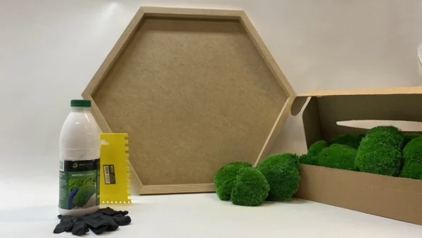 DIY Moss Picture Set Hexagon – Cushion Moss - Image 5