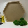Hexagon natural wood frame DIY kit with green ball moss mounds, adhesive bottle, notched scraper, and gloves