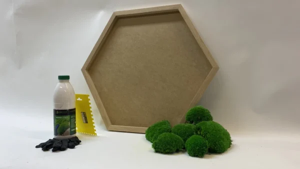 DIY Moss Picture Set Hexagon – Cushion Moss - Image 2