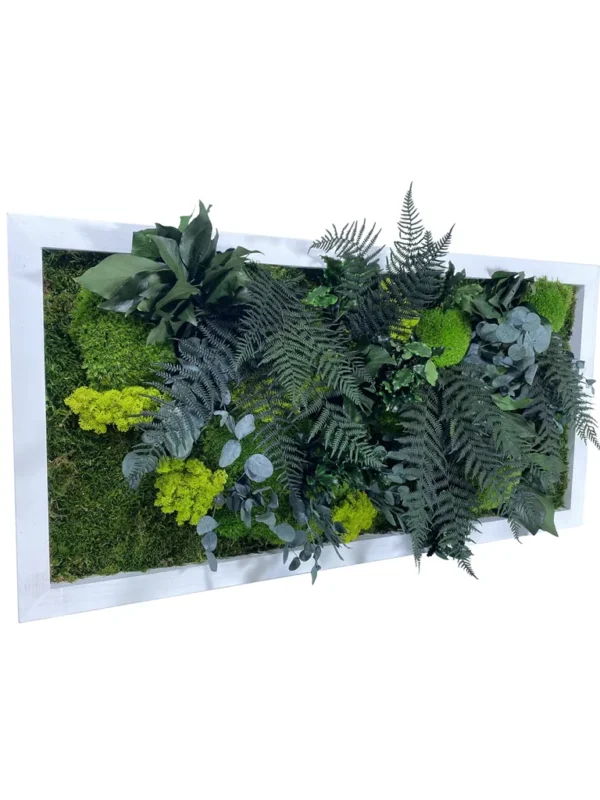 Plant Picture – Jungle - Image 2
