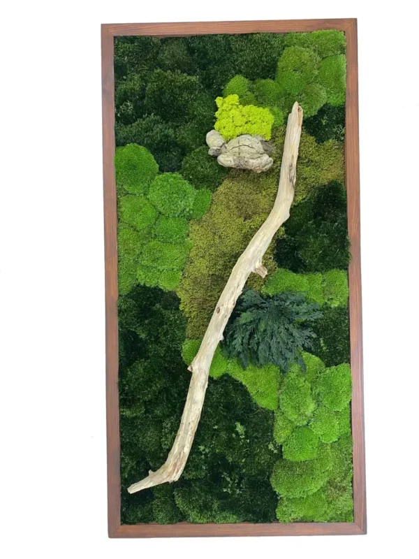 Moss Wall Art with Wood and Tinder Fungus - Image 4