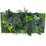 Jungle
