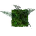 Moss Wall Art with Bun Moss and Plants - Image 5