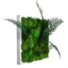 img_2150.jpg Angled side view of square moss wall art in a white frame with preserved bun moss and extending fern fronds