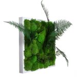 Moss Wall Art with Bun Moss and Plants - Image 4