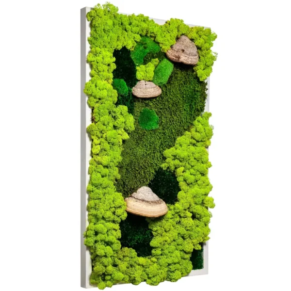 Moss Picture with Moss and Tinder Fungus - Image 2
