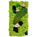 Moss Picture with Moss and Tinder Fungus