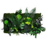 Plant Wall Panels: Jungle Moss Panel