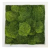 Provence framed moss wall art featuring textured preserved moss.