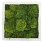 DIY Moss Wall Art Kit – Provence Moss - Image 6