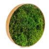 Round natural wood frame filled with textured green moss, displayed at an angle against a white background.