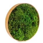 DIY Round Moss Picture Kit – Provence Moss - Image 7