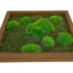 DIY Moss Picture Kit – Mix of Bun Moss and Flat Moss - Image 11