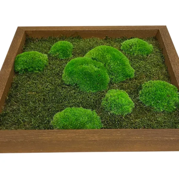 DIY Moss Picture Kit – Mix of Bun Moss and Flat Moss - Image 11