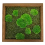 DIY Moss Picture Kit – Mix of Bun Moss and Flat Moss - Image 10