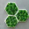 Hexagonal preserved reindeer moss wall art panels with geometric frames