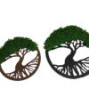 Two round Tree of Life moss wall art pieces with green foliage in brown and black wooden frames