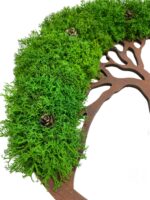 Moss Wall Art: Tree with Cones and Iceland Moss | Moss Tree - Image 9