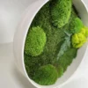 Angled view of round moss wall art in a white frame filled with textured ball moss and a preserved fern leaf