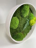 Round Moss Wall Art with Moss and Fern (Bun Moss, Reindeer Moss, Flat Moss) - Image 4