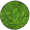 Round framed wall art filled with textured preserved ball moss