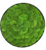 Round DIY Moss Picture Kit – Balled Moss - Image 2